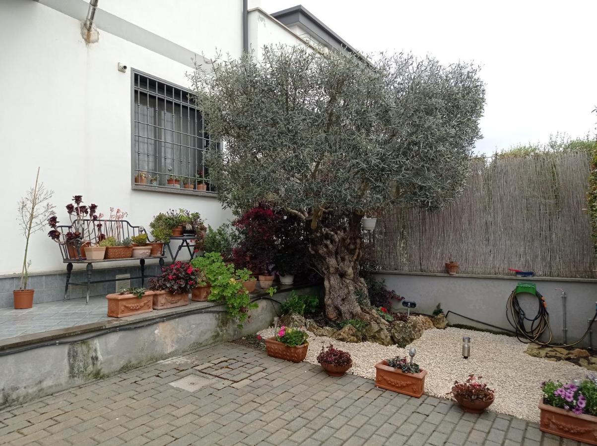 Villa Sogno Castel Fusano Eksteriør billede